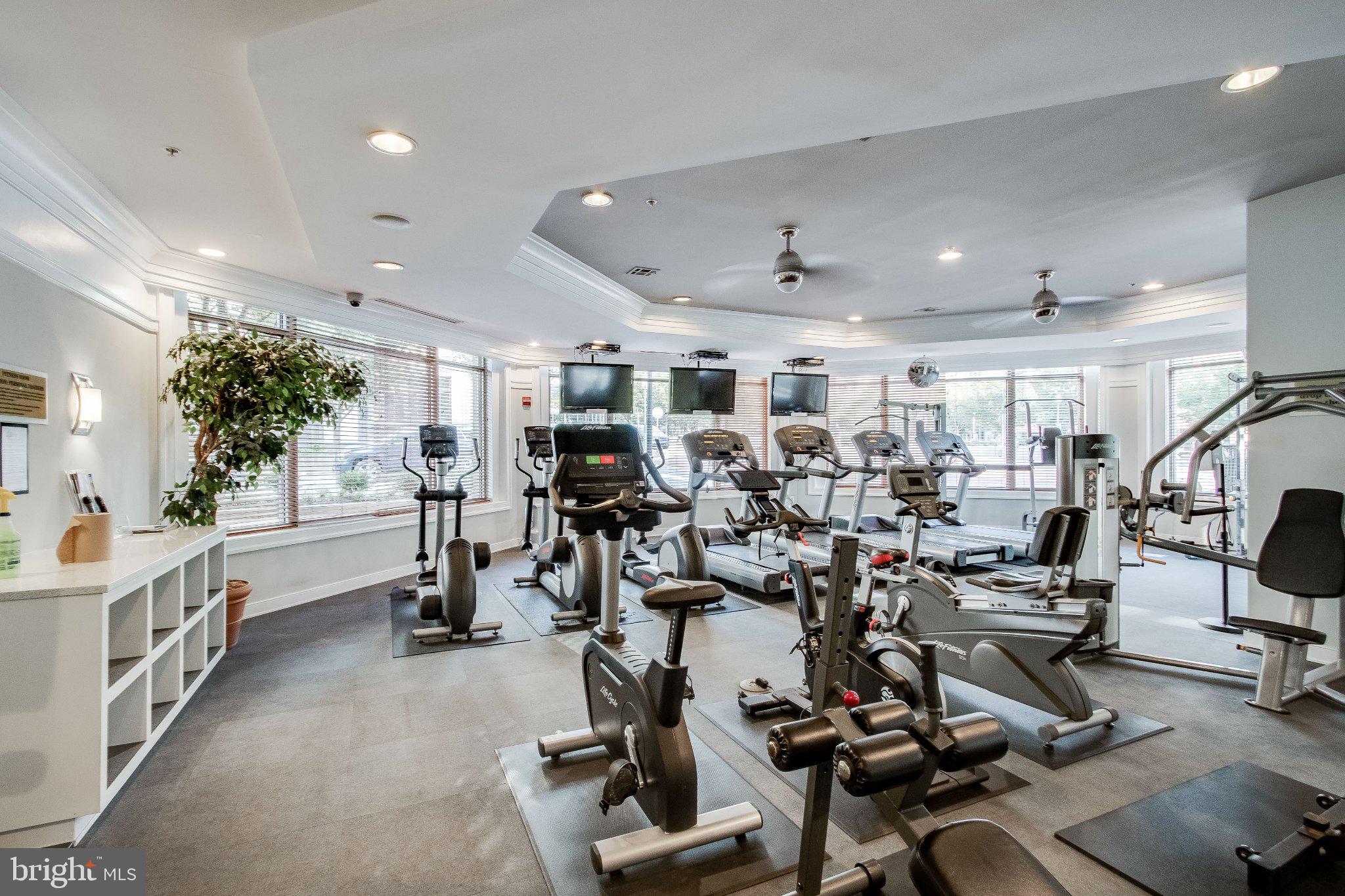 12000 Market Street, Unit 173 Reston, VA 20190 - Photo 32 of 47 Modern fitness center with natural light.