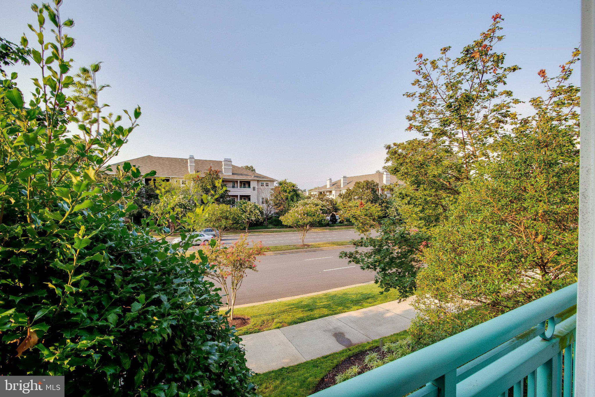 12000 Market Street, Unit 173 Reston, VA 20190 - Photo 34 of 47 Lush greenery frames a tranquil view.