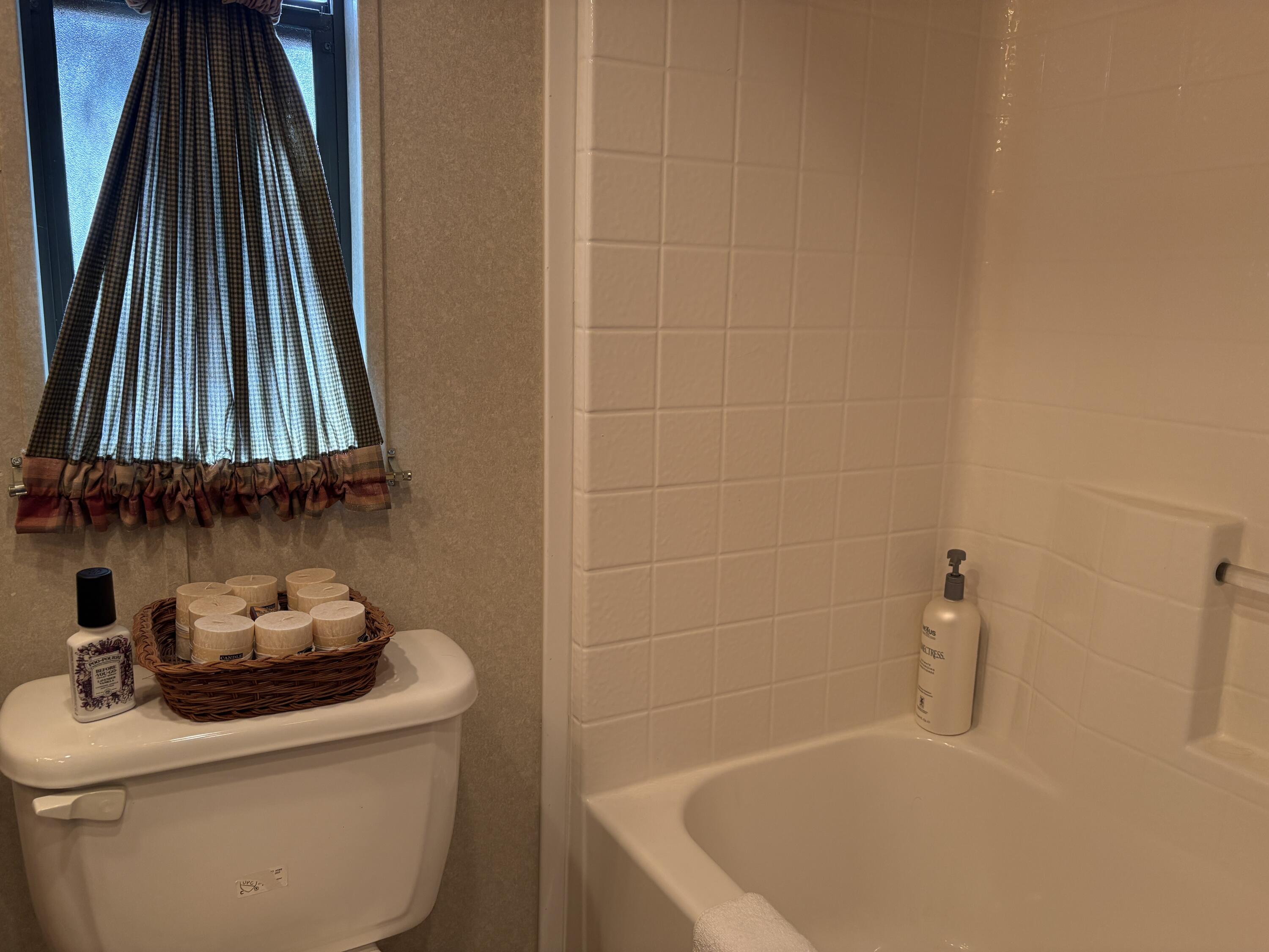 52901 Pine Cove Road, Unit 42 Idyllwild, CA 92549 - Photo 14 of 28 Bathroom
