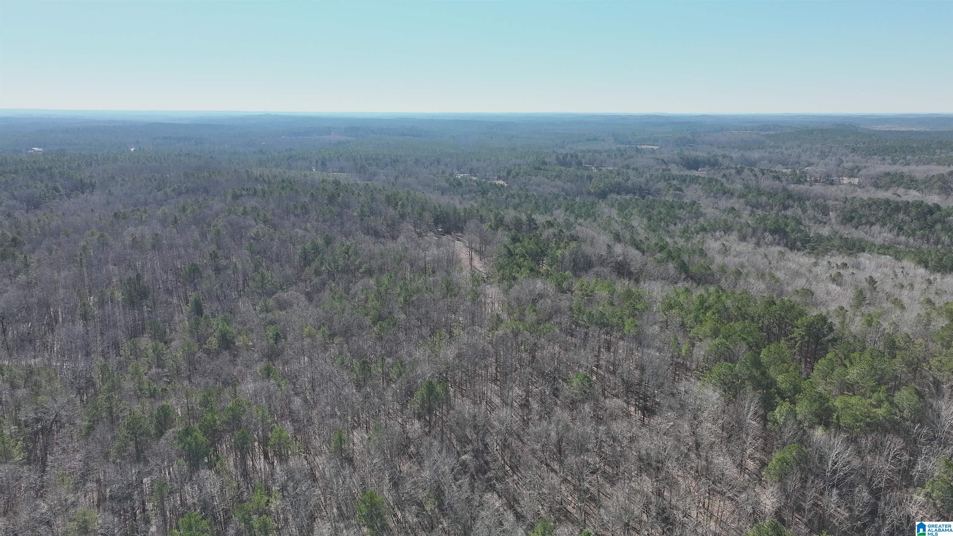 6171 Highway 102, Unit 1 Fayette, AL 35555 - Photo 32 of 68