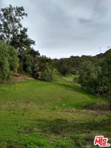a view of a lush green space