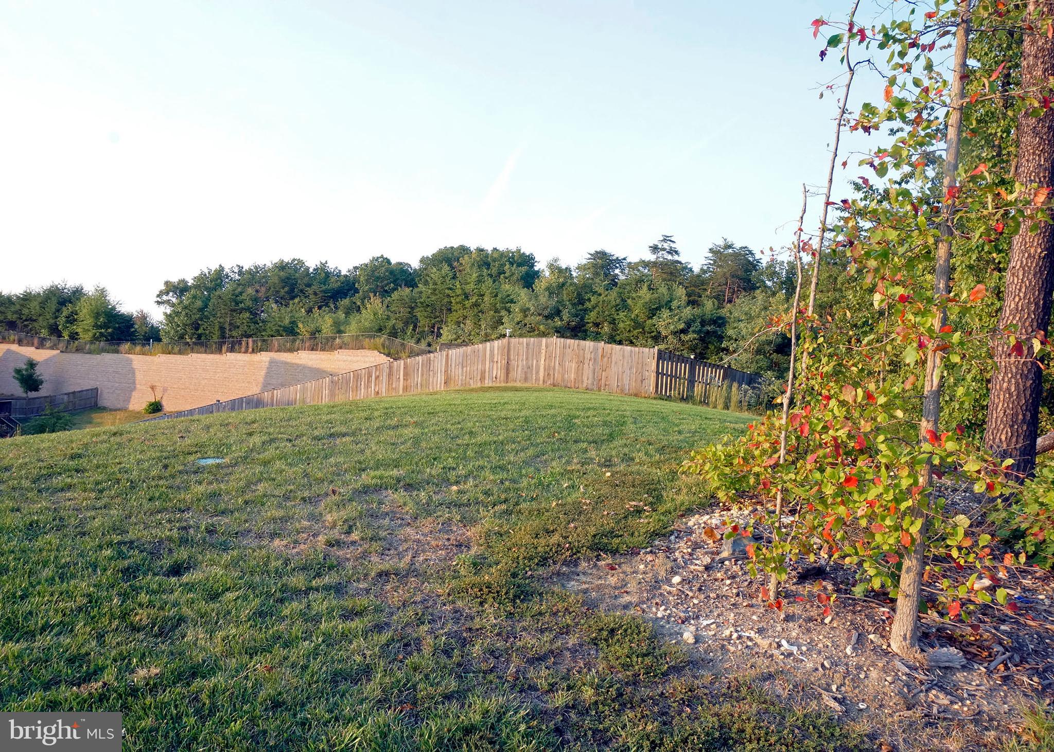 3131 Fledgling Circle Woodbridge, VA 22193 - Photo 25 of 27 Backar View 1