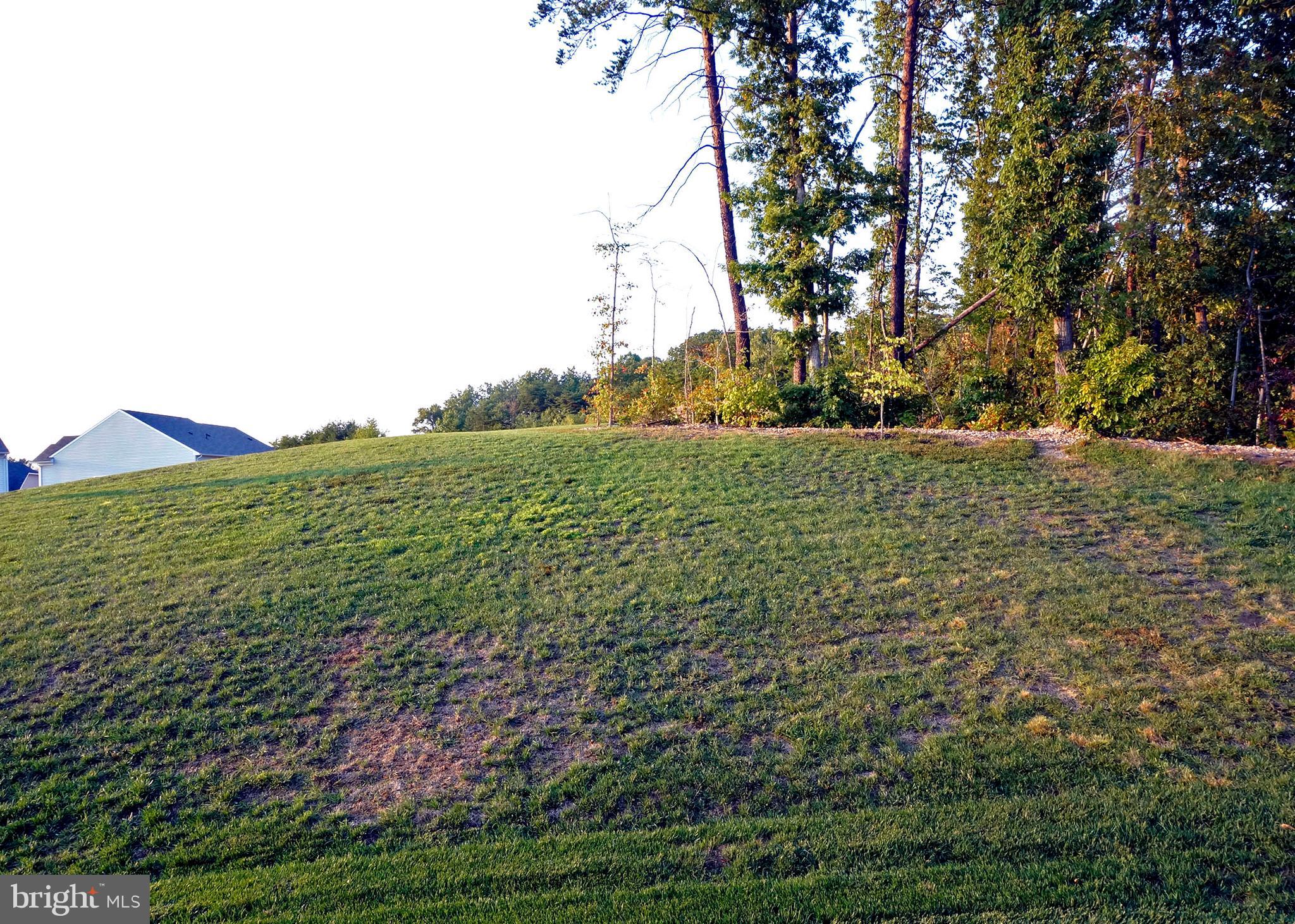 3131 Fledgling Circle Woodbridge, VA 22193 - Photo 26 of 27 Back Yard View 2