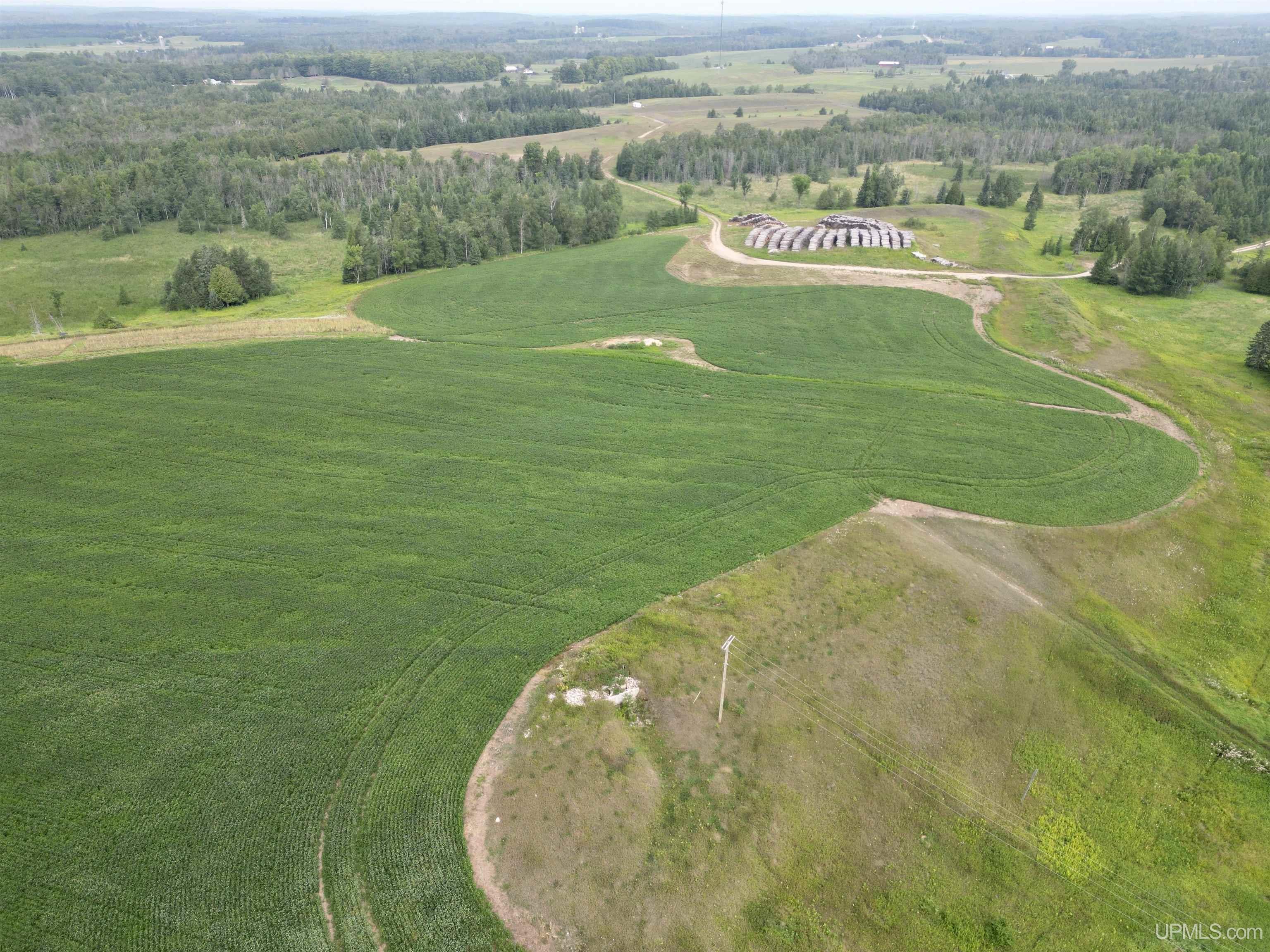 Tbd Tbd Off Guard St Road Carney, MI 49812 - Photo 7 of 13