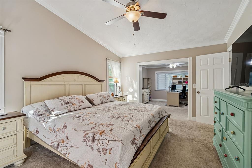 1147 Ridgecrest Court Palm Harbor, FL 34683 - Photo 19 of 72