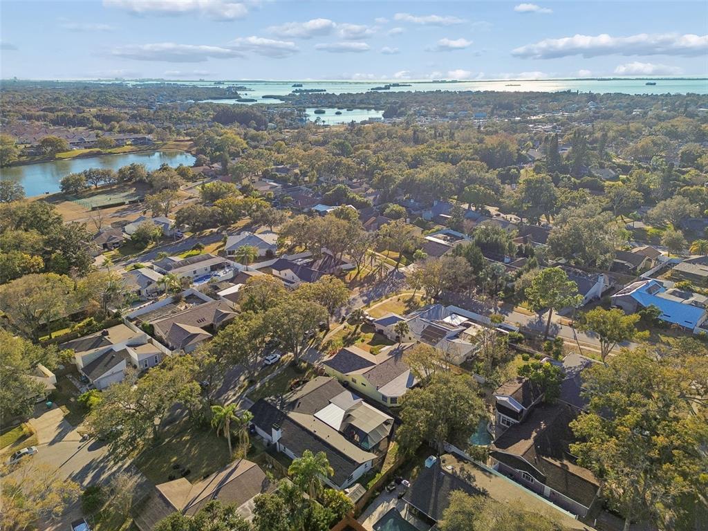 1147 Ridgecrest Court Palm Harbor, FL 34683 - Photo 64 of 72