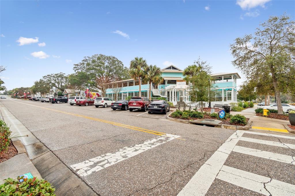 1147 Ridgecrest Court Palm Harbor, FL 34683 - Photo 71 of 72