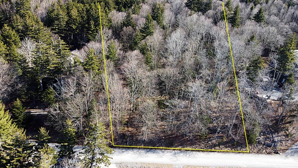 1145 North Westridge Road Slatyfork, WV 26291 - Photo 4 of 7 Gallery Image 4