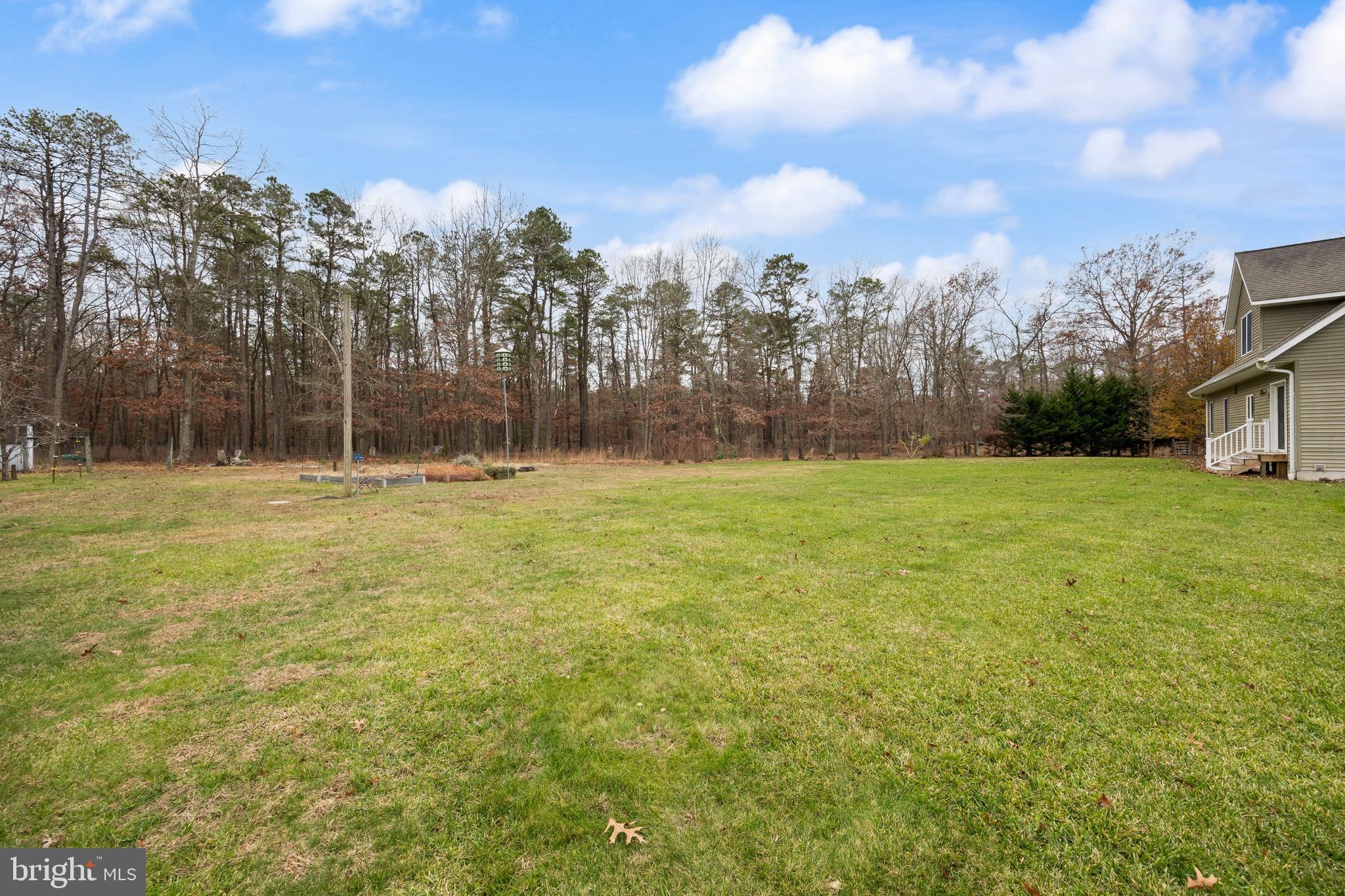 3259 Union Road Vineland, NJ 08361 - Photo 69 of 81 a view of a field with trees in the background