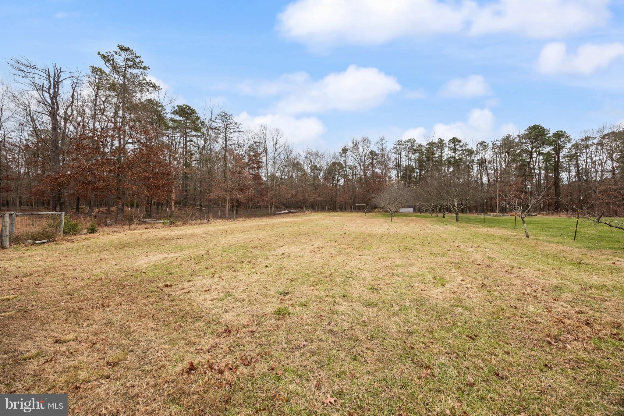 3259 Union Road Vineland, NJ 08361 - Photo 70 of 81 a view of a yard
