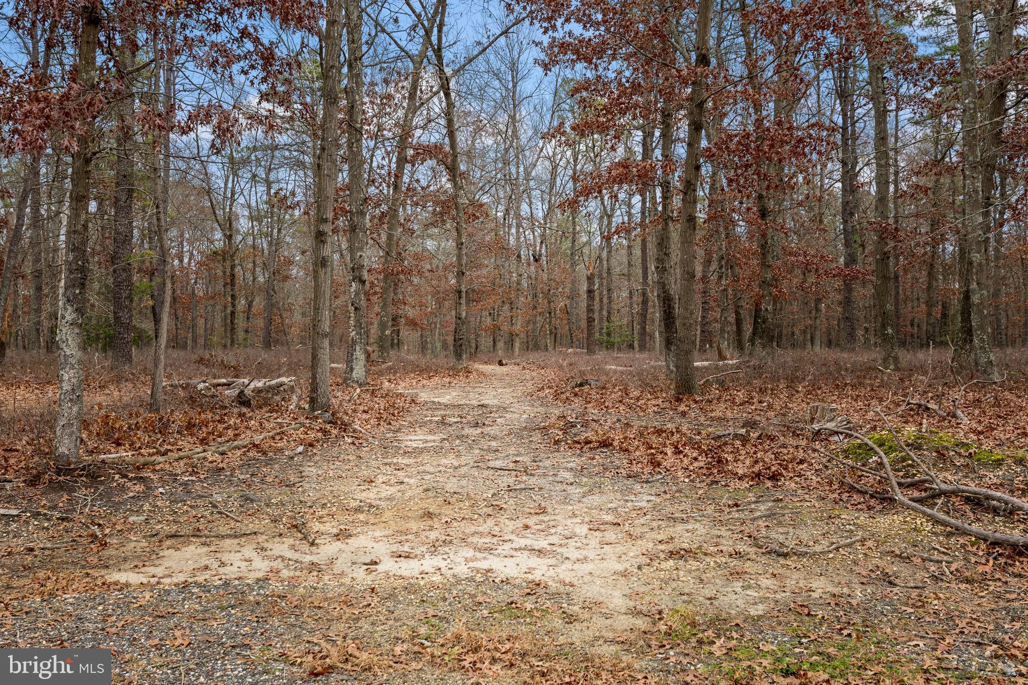 3259 Union Road Vineland, NJ 08361 - Photo 71 of 81 a backyard of a house with lots of green space