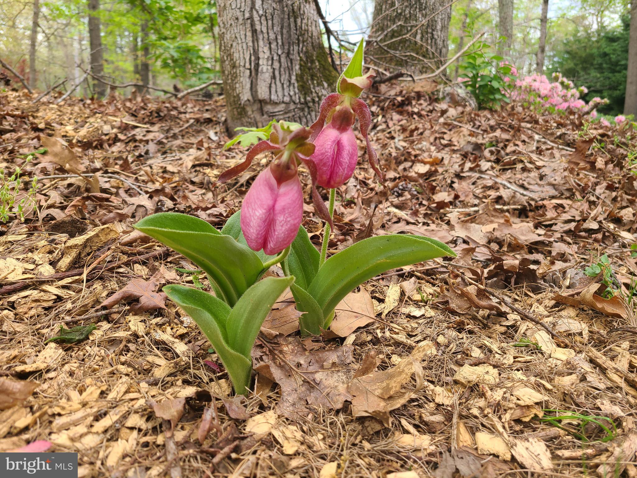 3259 Union Road Vineland, NJ 08361 - Photo 75 of 81