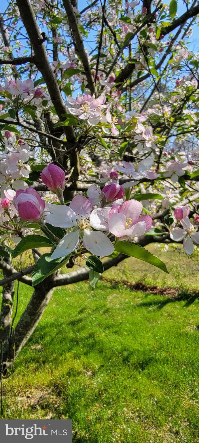 3259 Union Road Vineland, NJ 08361 - Photo 76 of 81