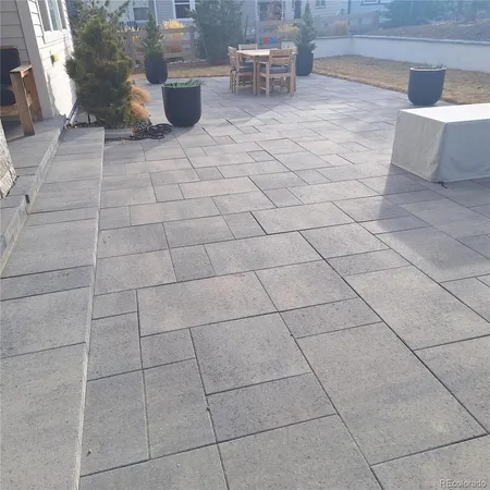 a view of a dry yard with large tree