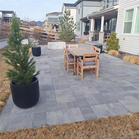 a view of a potted plant