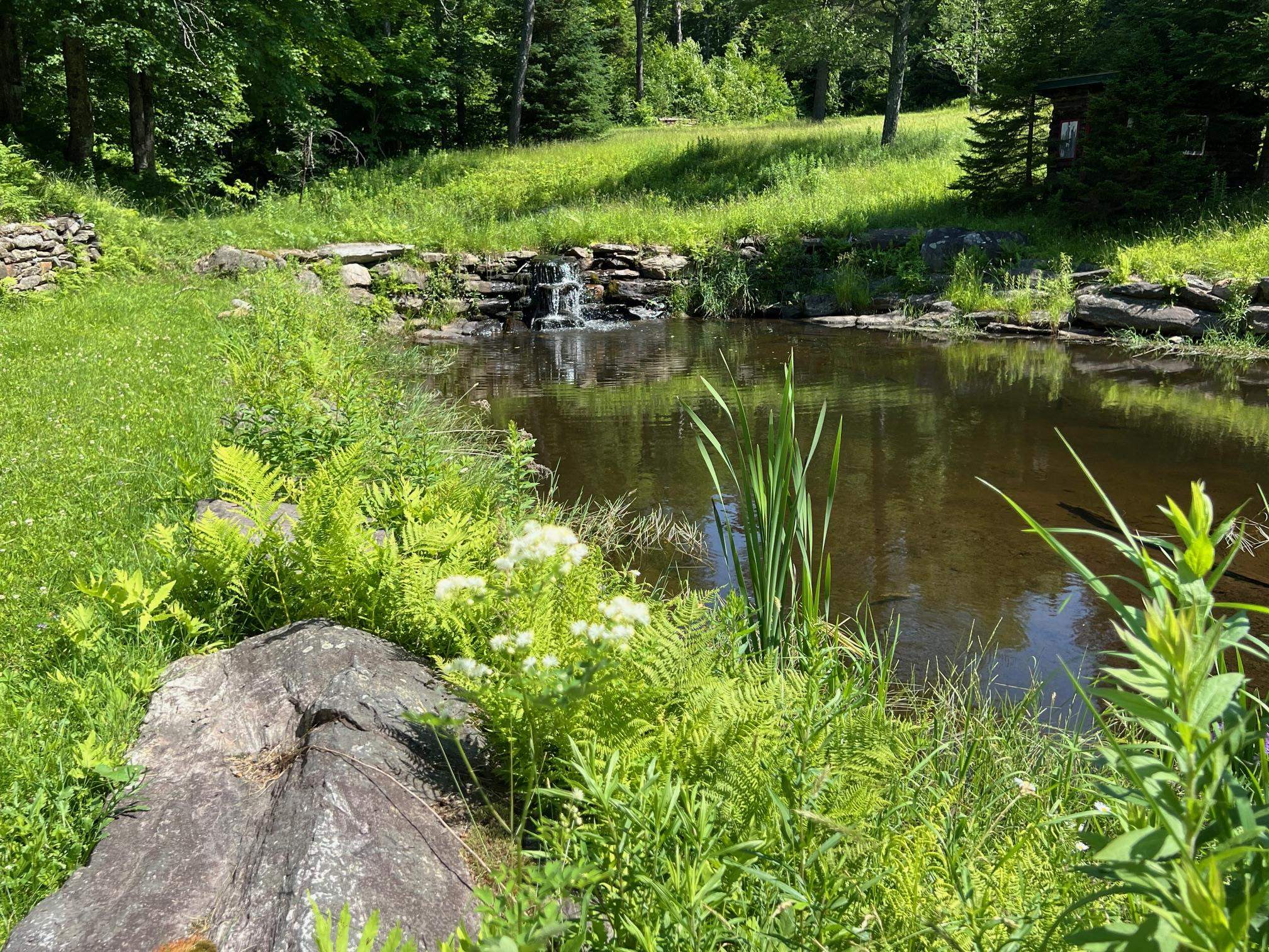 2253 White Road Windham, VT 05143 - Photo 21 of 38