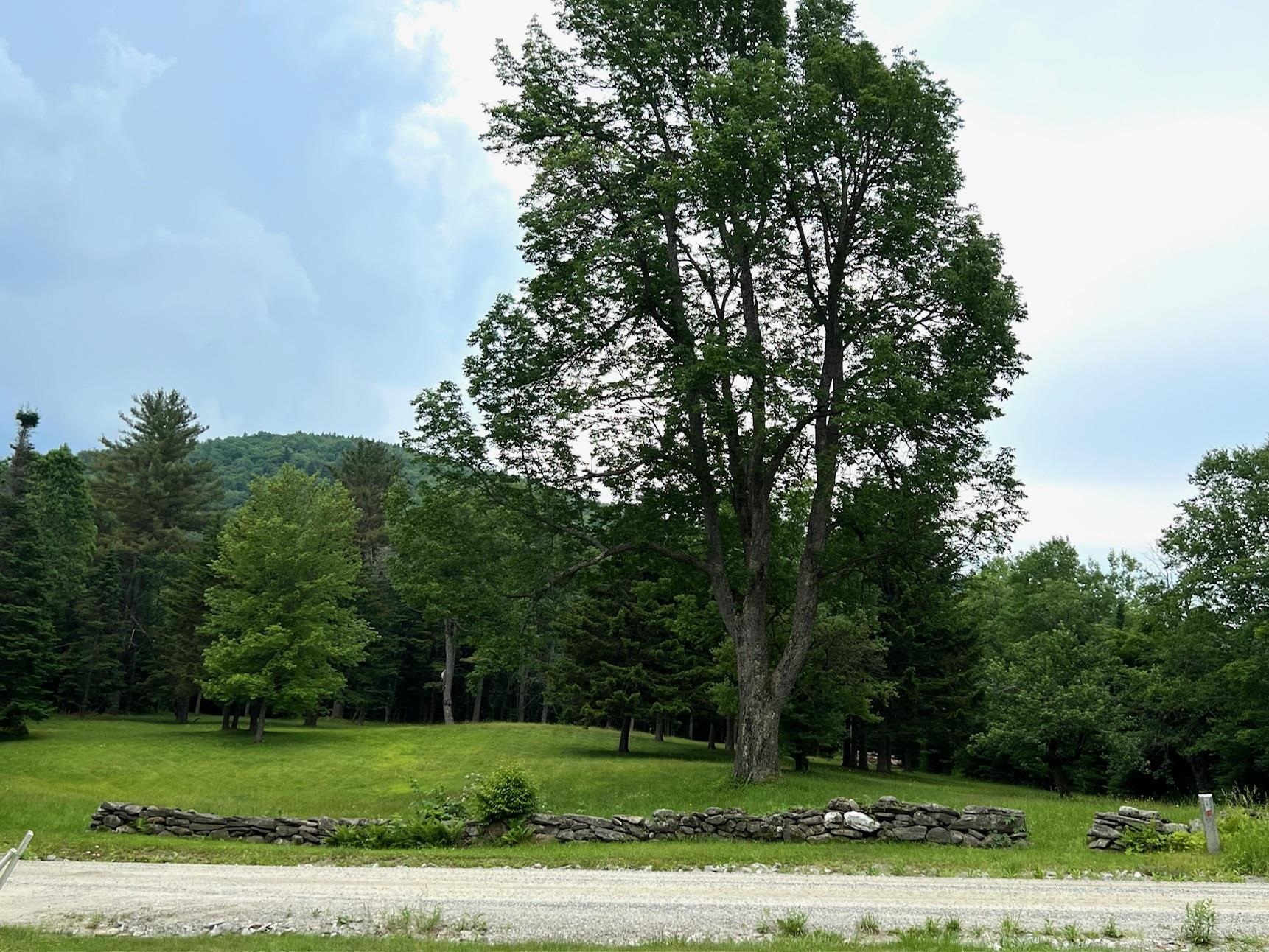 2253 White Road Windham, VT 05143 - Photo 22 of 38