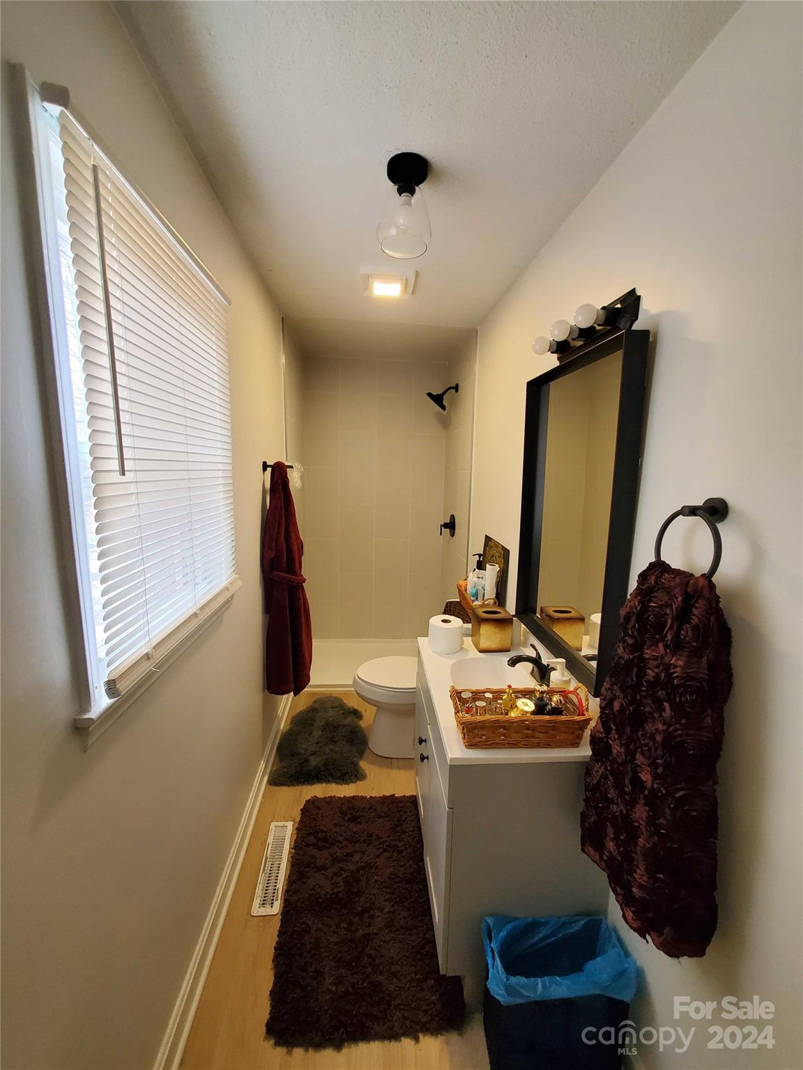 181 Spring Garden Avenue Kannapolis, NC 28081 - Photo 22 of 30 a bathroom with a sink and a mirror