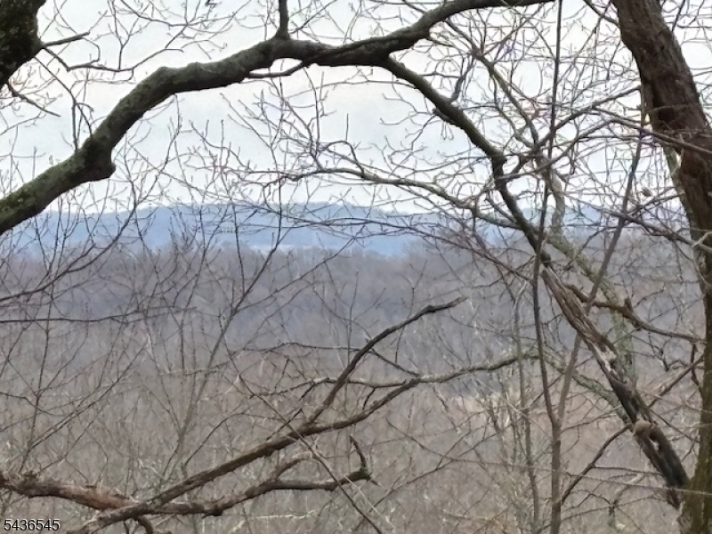 76 Monroe Road Lafayette, NJ 07848 - Photo 4 of 10