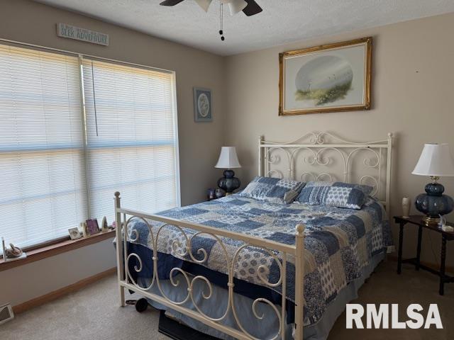 22145 Old Delta Mine Road Marion, IL 62959 - Photo 13 of 26