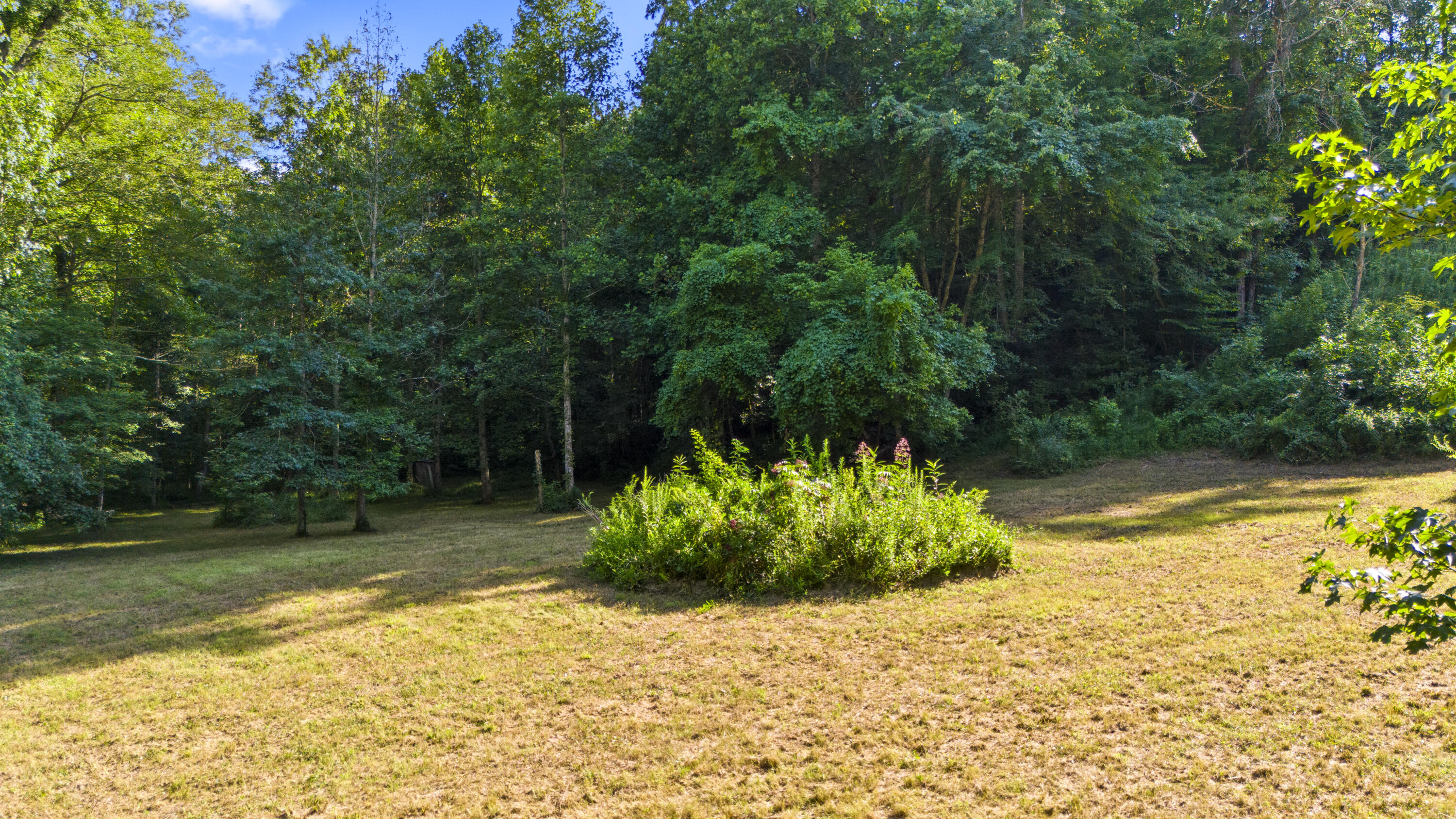 1649 Virden Ridge Road Clay City, KY 40312 - Photo 15 of 43 DJI_20250806173955_0234_D