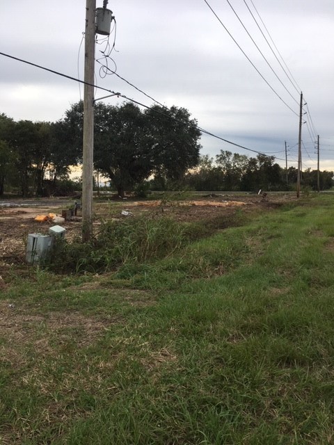 7933 Iowa Colony Boulevard Rosharon, TX 77583 - Photo 2 of 2