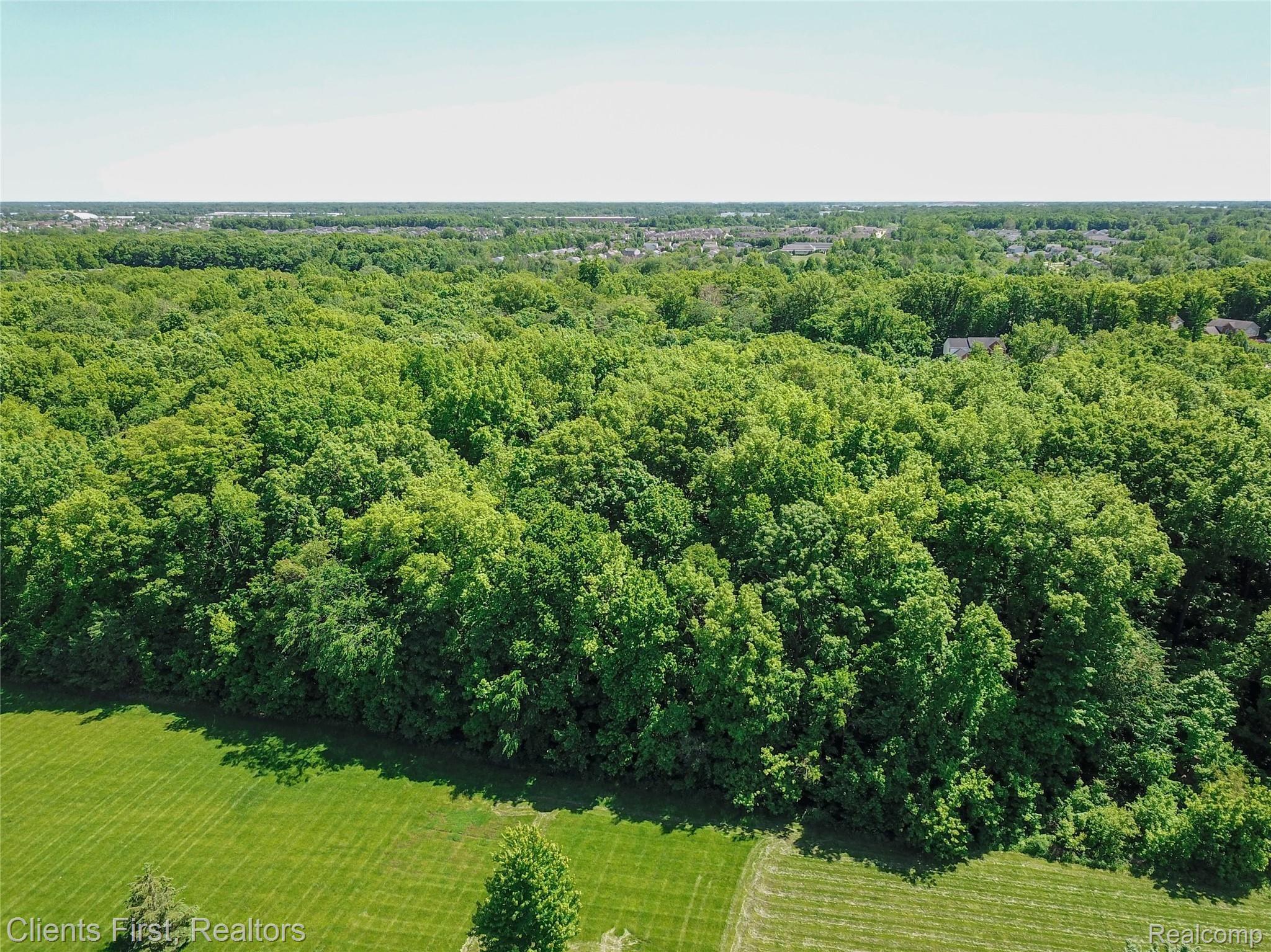 48895 Rockefeller Drive Canton, MI 48188 - Photo 32 of 36 drone-7.jpg
