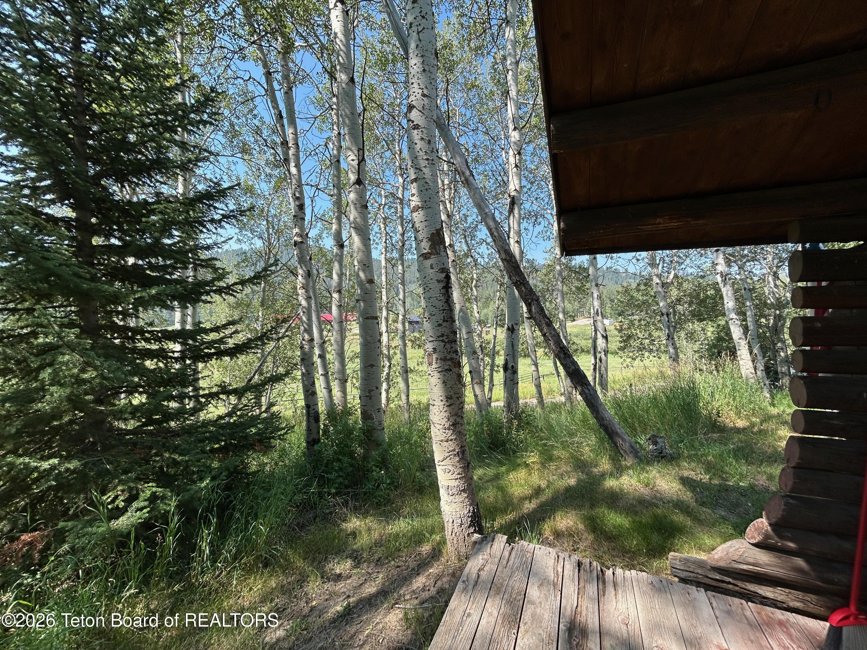 3905 North Fork Fall Creek Road Wilson, WY 83014 - Photo 23 of 26 24 Bedroom Deck and View