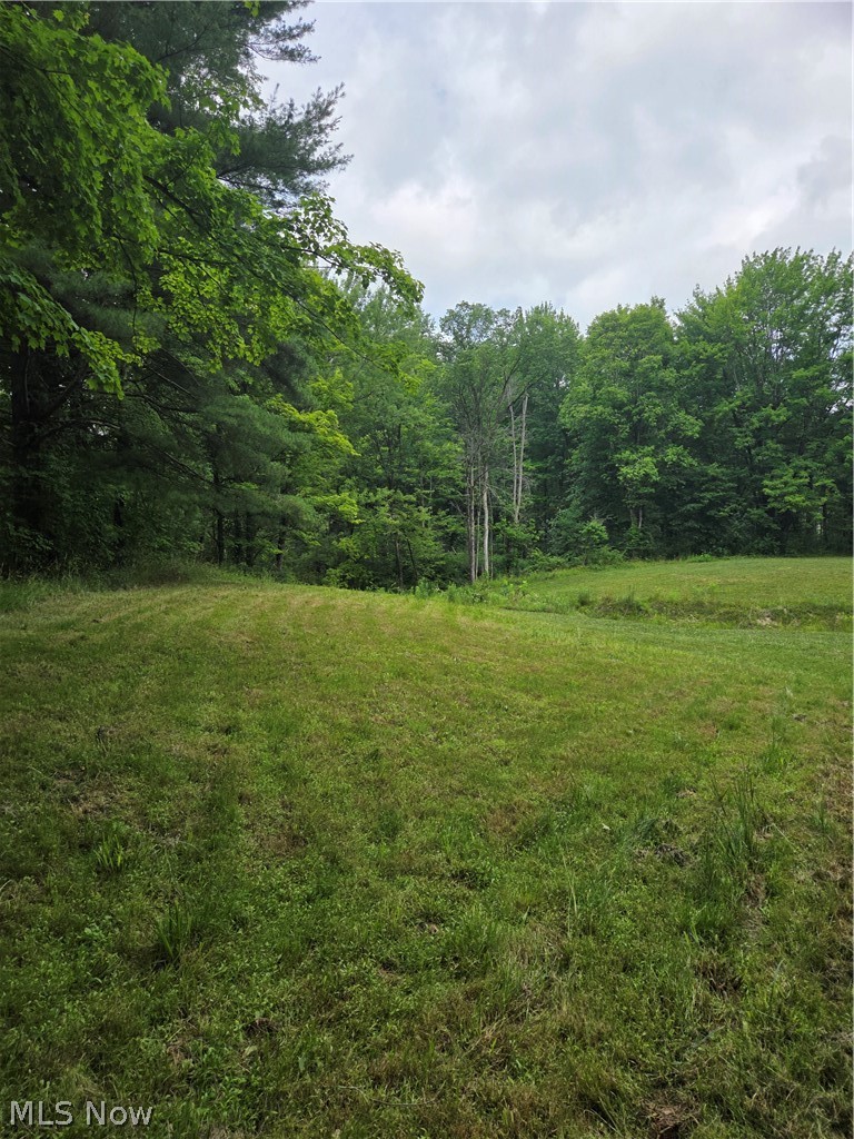 4146 New Hudson Road Orwell, OH 44076 - Photo 41 of 43