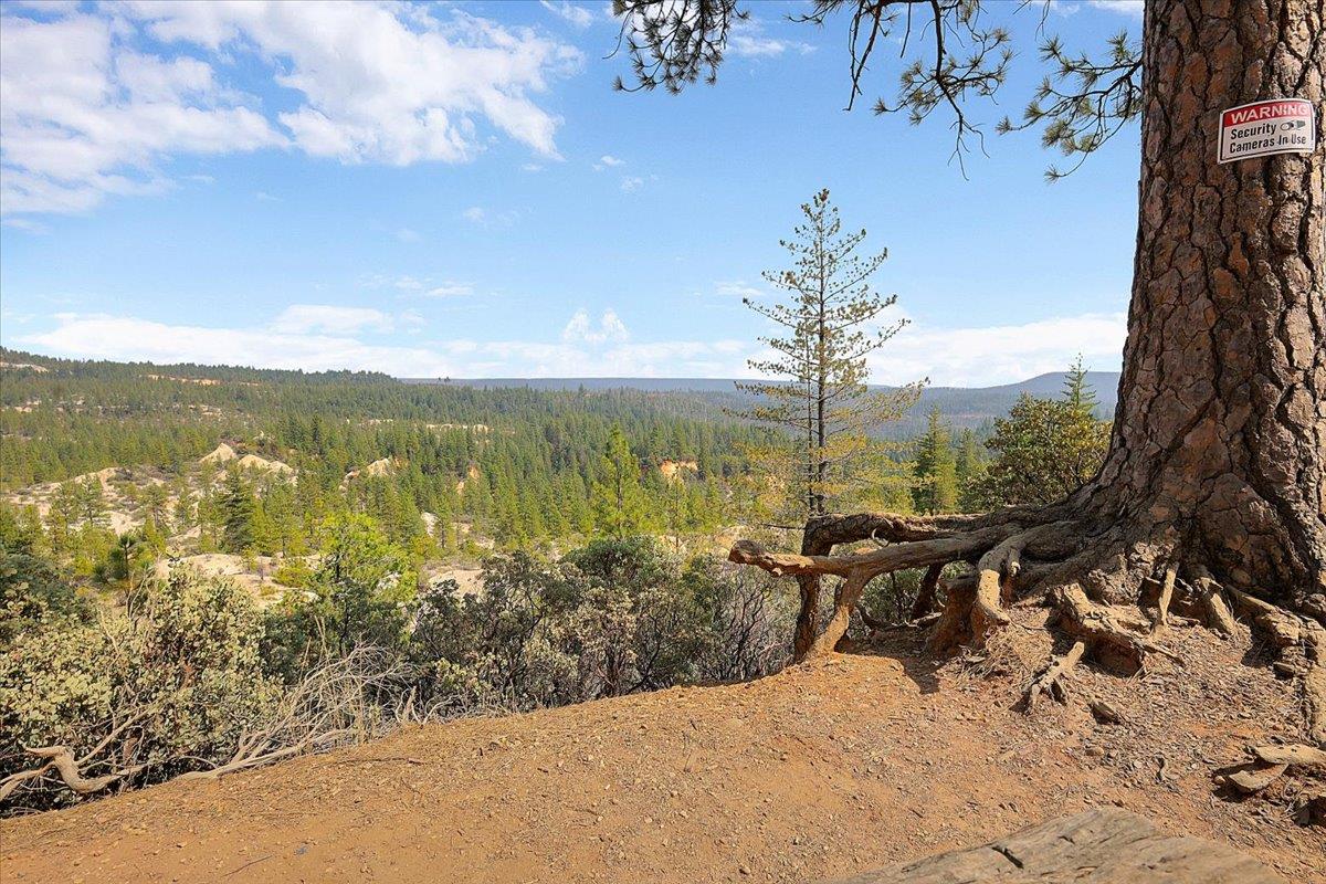 20710 Chalk Bluff Road Grass Valley, CA 95945 - Photo 2 of 47 Gallery Image 2