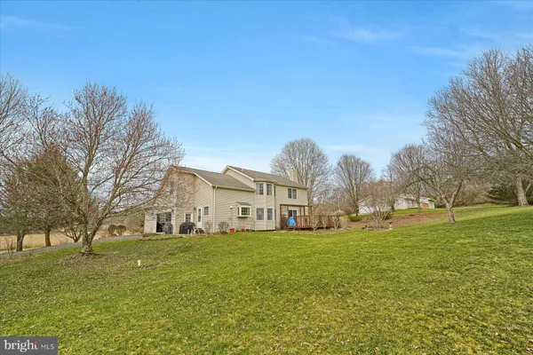 a view of a park with large trees