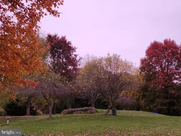 a view of a park with trees in the background