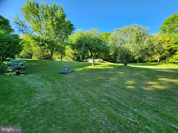 a view of backyard with green space