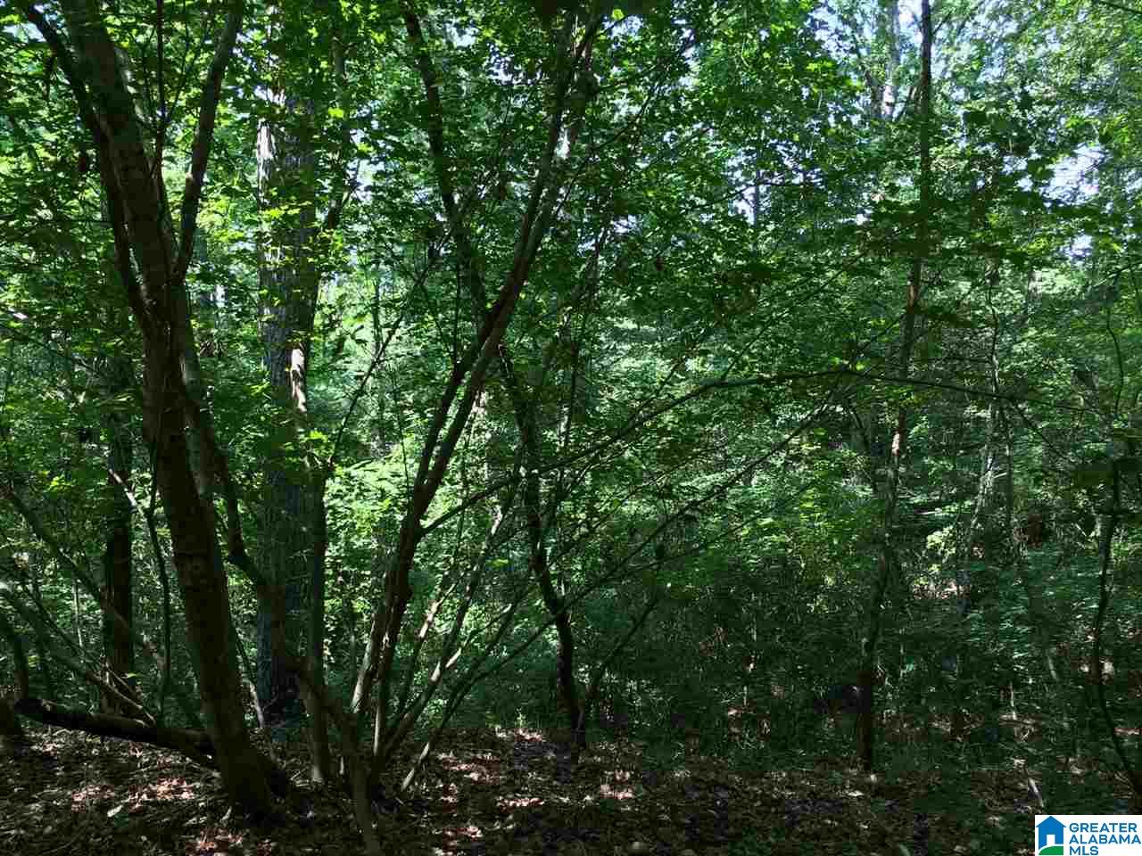 Spunky Hollow Road, Unit 18 7 Oneonta, AL 35121 - Photo 39 of 46