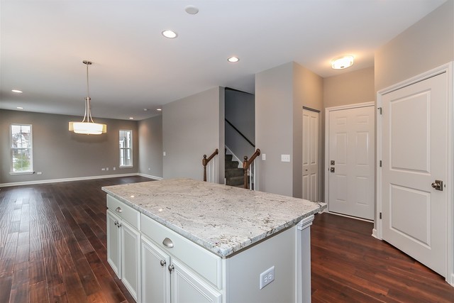 1228 Declan Court, Unit 4 Naperville, IL 60563 - Photo 13 of 32 a kitchen with a sink chandelier and wooden floor