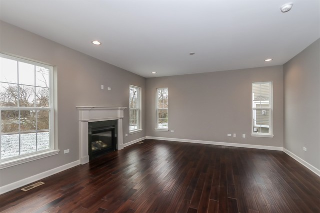 1228 Declan Court, Unit 4 Naperville, IL 60563 - Photo 4 of 32 an empty room with wooden floor fireplace and windows