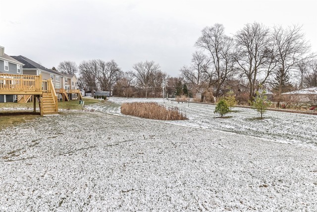 1228 Declan Court, Unit 4 Naperville, IL 60563 - Photo 31 of 32 a view of a yard with a snow