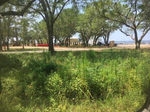 Lot 19 Bay Grove Road Freeport, FL 32439 - Photo 1 of 3 a view of park space