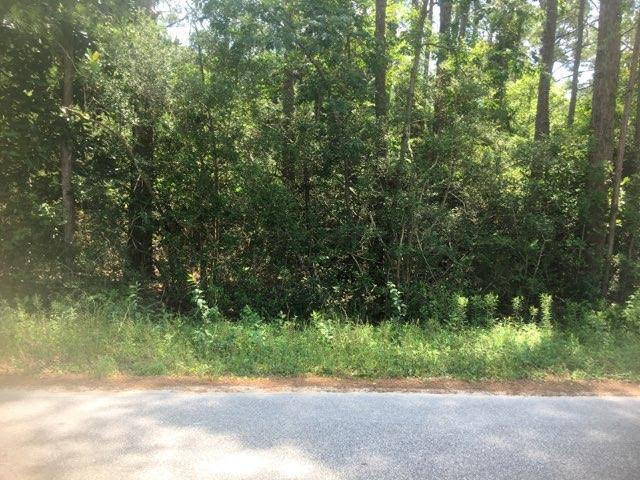 Lot 19 Bay Grove Road Freeport, FL 32439 - Photo 2 of 3