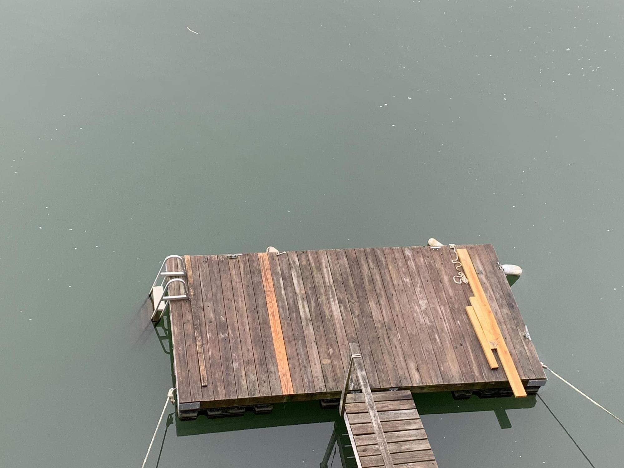 737 Summer Sound Road Piney Flats, TN 37686 - Photo 45 of 52 Floating Dock