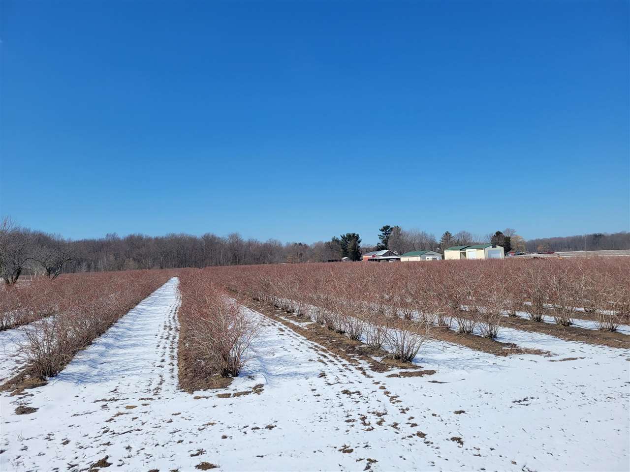 Lot B54 Co Road Covert, MI 49043 - Photo 18 of 28