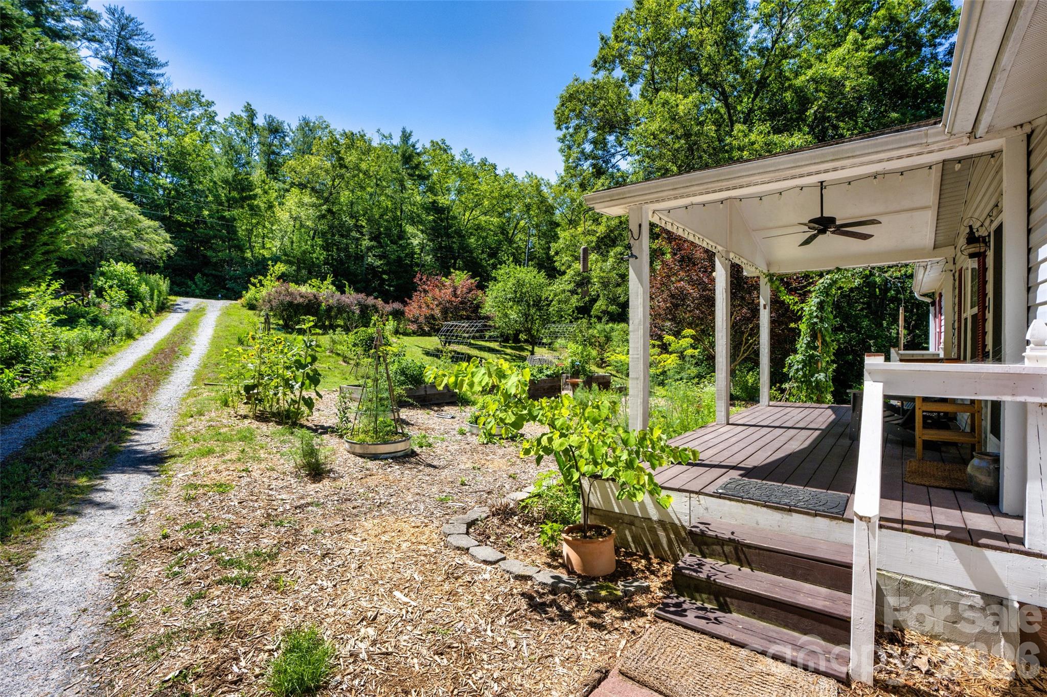 435 McMinn Road Hendersonville, NC 28792 - Photo 4 of 48
