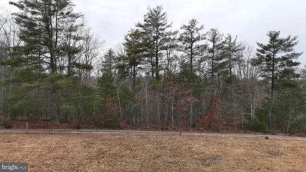 $34,950 | 0 Elderberry Lane, Buena Vista, VA 24416