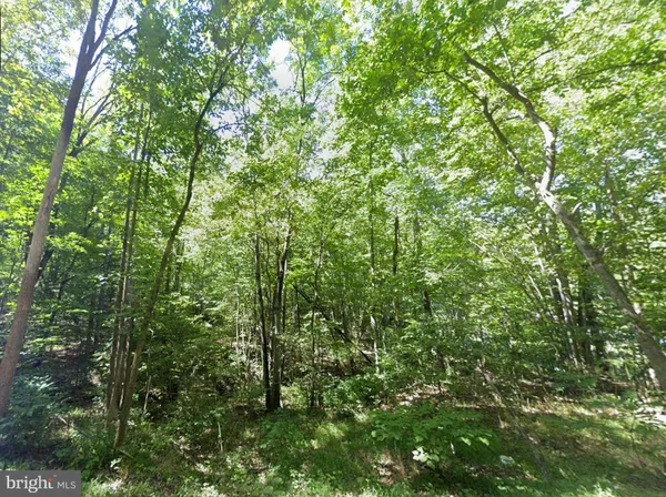 $34,950 | 0 Elderberry Lane, Buena Vista, VA 24416