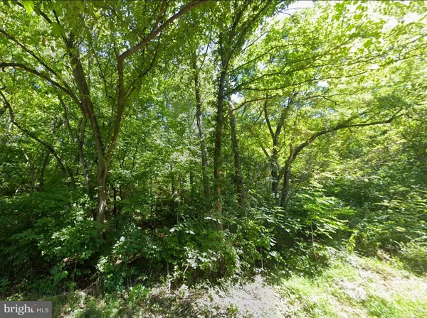 $34,950 | 0 Elderberry Lane, Buena Vista, VA 24416