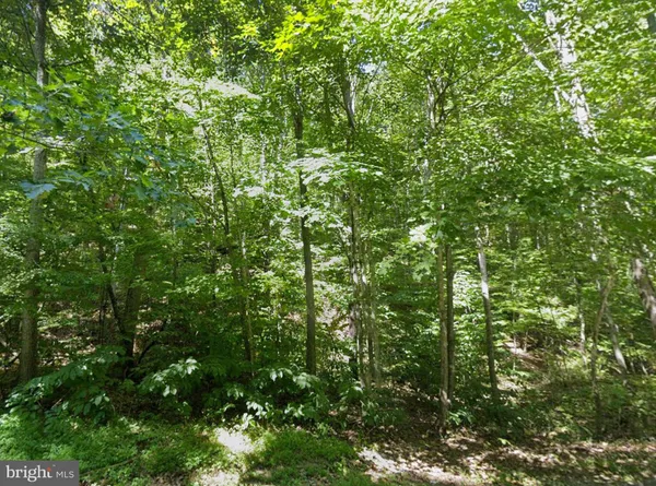 $34,950 | 0 Elderberry Lane, Buena Vista, VA 24416