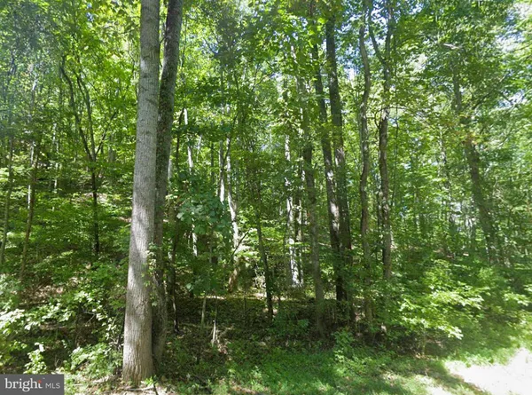 $34,950 | 0 Elderberry Lane, Buena Vista, VA 24416