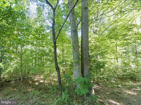 $34,950 | 0 Elderberry Lane, Buena Vista, VA 24416