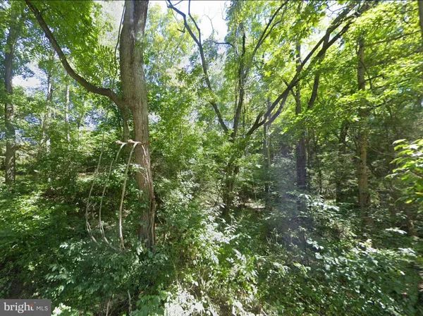 $34,950 | 0 Elderberry Lane, Buena Vista, VA 24416