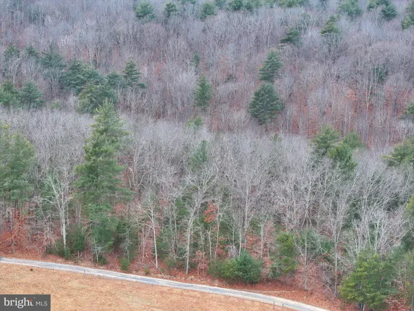 $34,950 | 0 Elderberry Lane, Buena Vista, VA 24416